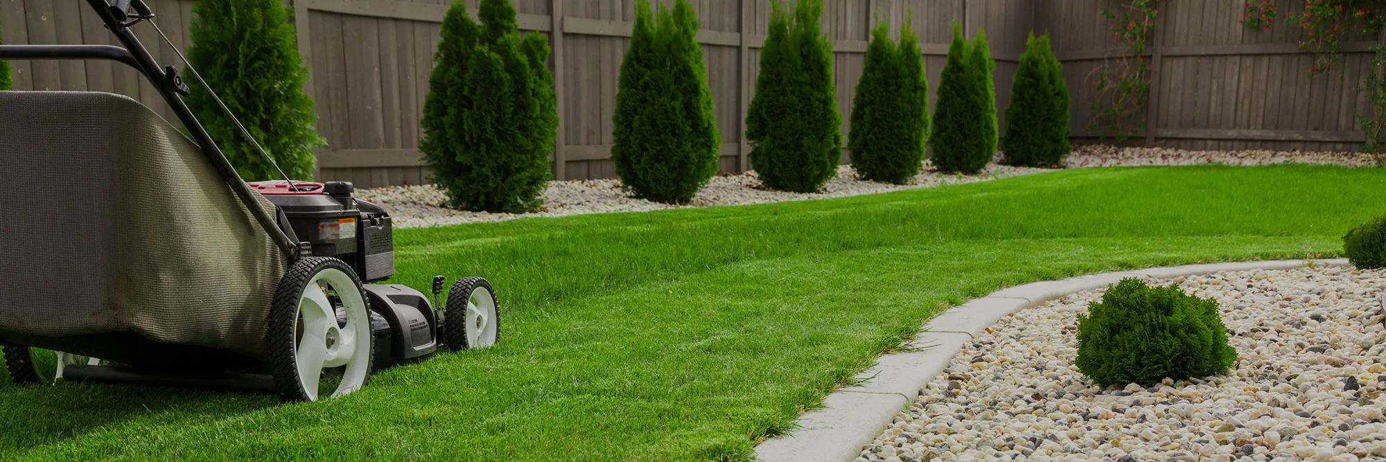Yard Cleanup